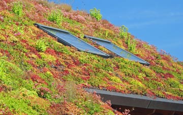 Bar Hill living roof systems
